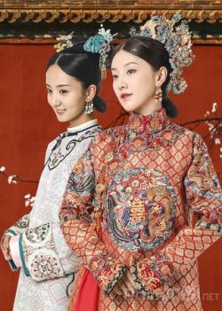 Xem Phim Diên Hi Công Lược: Kim Chi Ngọc Diệp - Yanxi Palace: Princess Adventures ()