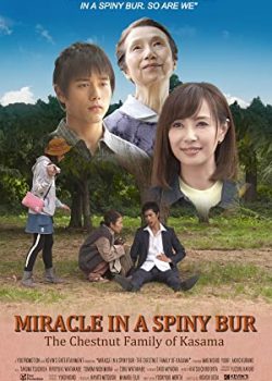 Xem Phim Điều Kỳ Diệu Ở Kasama - Miracle in Kasama (Miracle in a Spiny Bur: The Chestnut Family of Kasama)