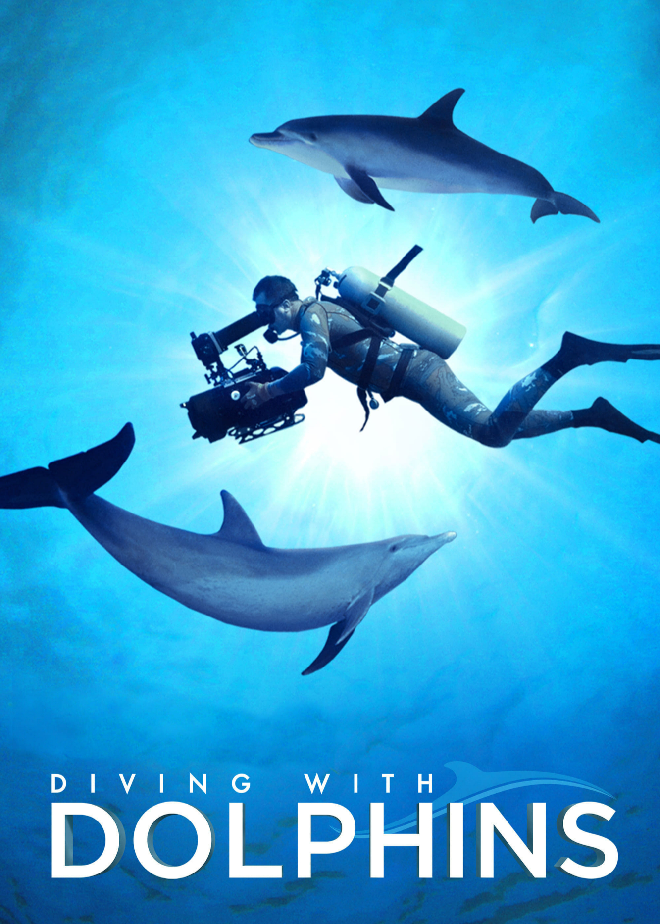 Xem Phim Diving with Dolphins (Diving with Dolphins)