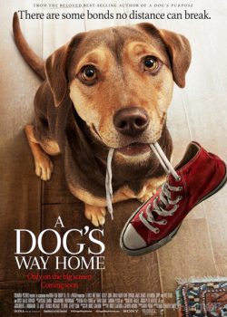 Poster Phim Đường Về Nhà Của Cún Con (A Dog's Way Home)