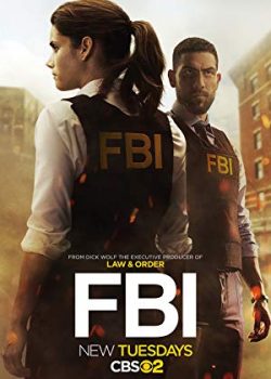 Xem Phim FBI Phần 2 (FBI Season 2)