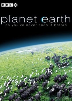 Xem Phim Hành Tinh Trái Đất Phần 1 (BBC's Planet Earth)