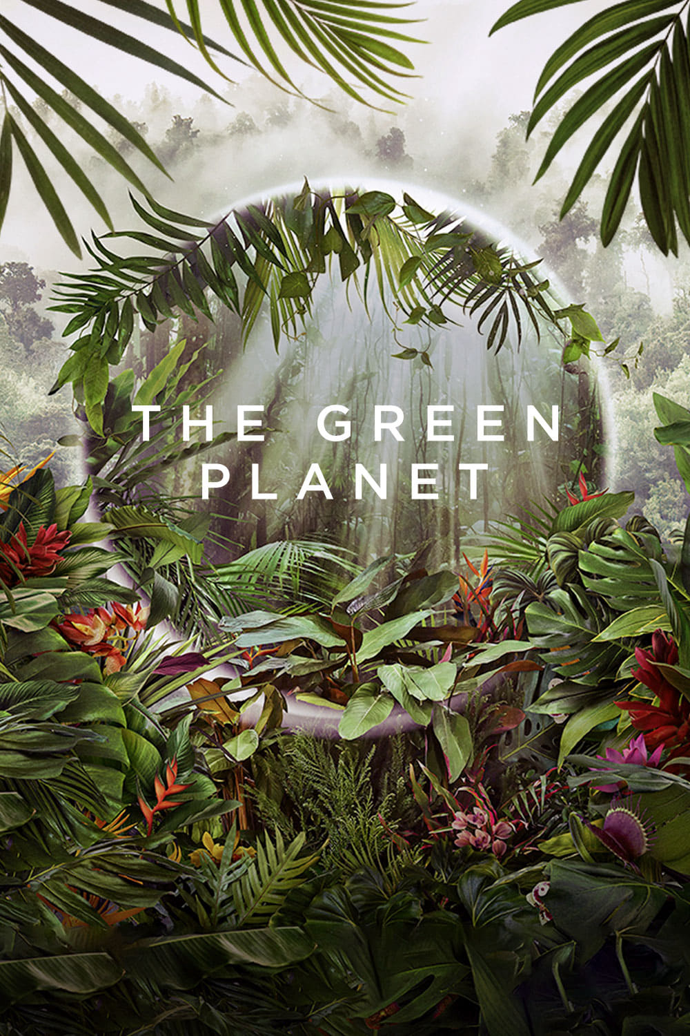Xem Phim Hành Tinh Xanh (The Green Planet)