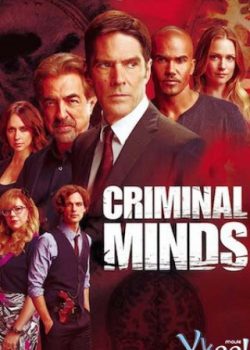 Xem Phim Hành Vi Phạm Tội Phần 8 (Criminal Minds Season 8)