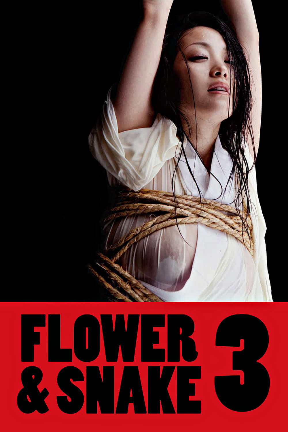 Poster Phim Hoa Và Rắn 3  (Flower & Snake 3)