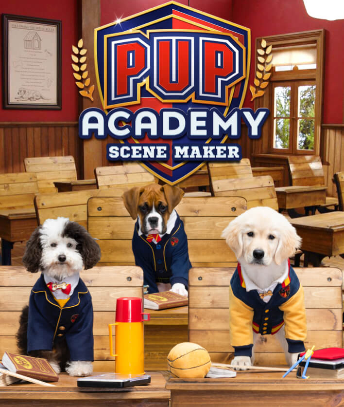 Xem Phim Học viện cún con (Phần 2) (Pup Academy (Season 2))