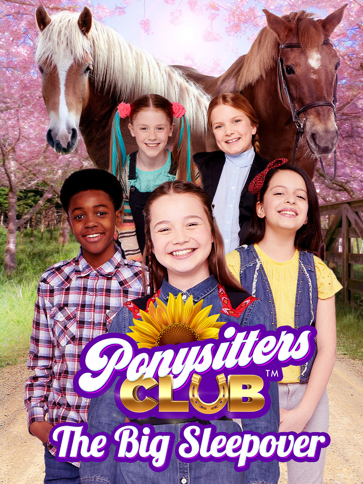 Xem Phim Hội chăm sóc ngựa (Phần 2) (Ponysitters Club (Season 2))