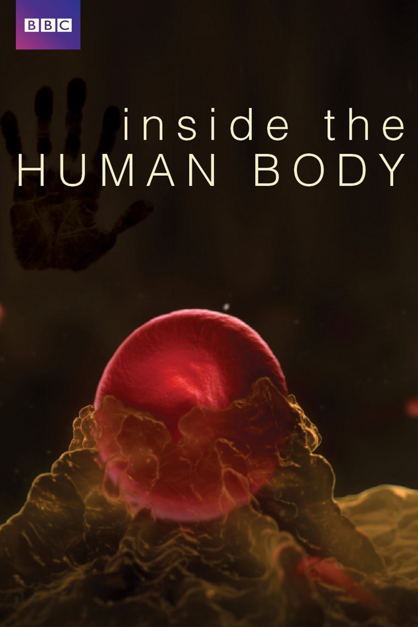 Xem Phim Inside the Human Body (Inside the Human Body)