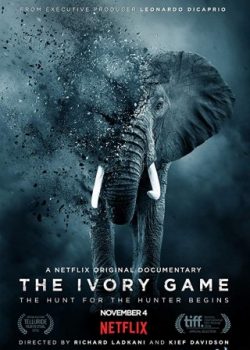 Xem Phim Kẻ Trộm Ngà Voi (The Ivory Game)