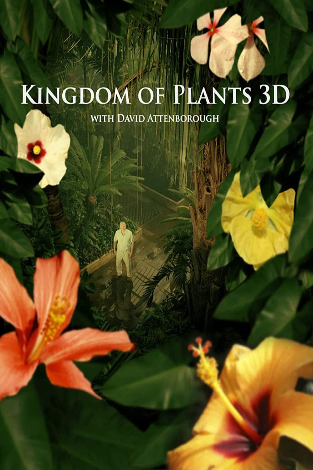 Xem Phim Kingdom of Plants (Kingdom of Plants)