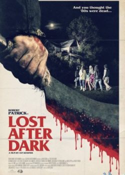 Poster Phim Lạc Lối Trong Đêm / Mất Tích Trong Bóng Đêm (Lost After Dark)