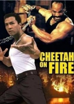 Xem Phim Liệp Báo Hành Động (Cheetah On Fire)