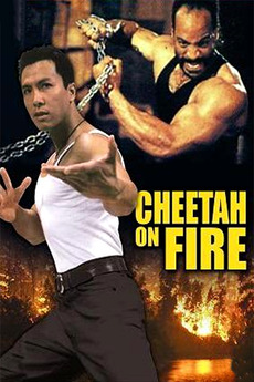 Xem Phim Liệp Báo Hành Động (Cheetah On Fire)