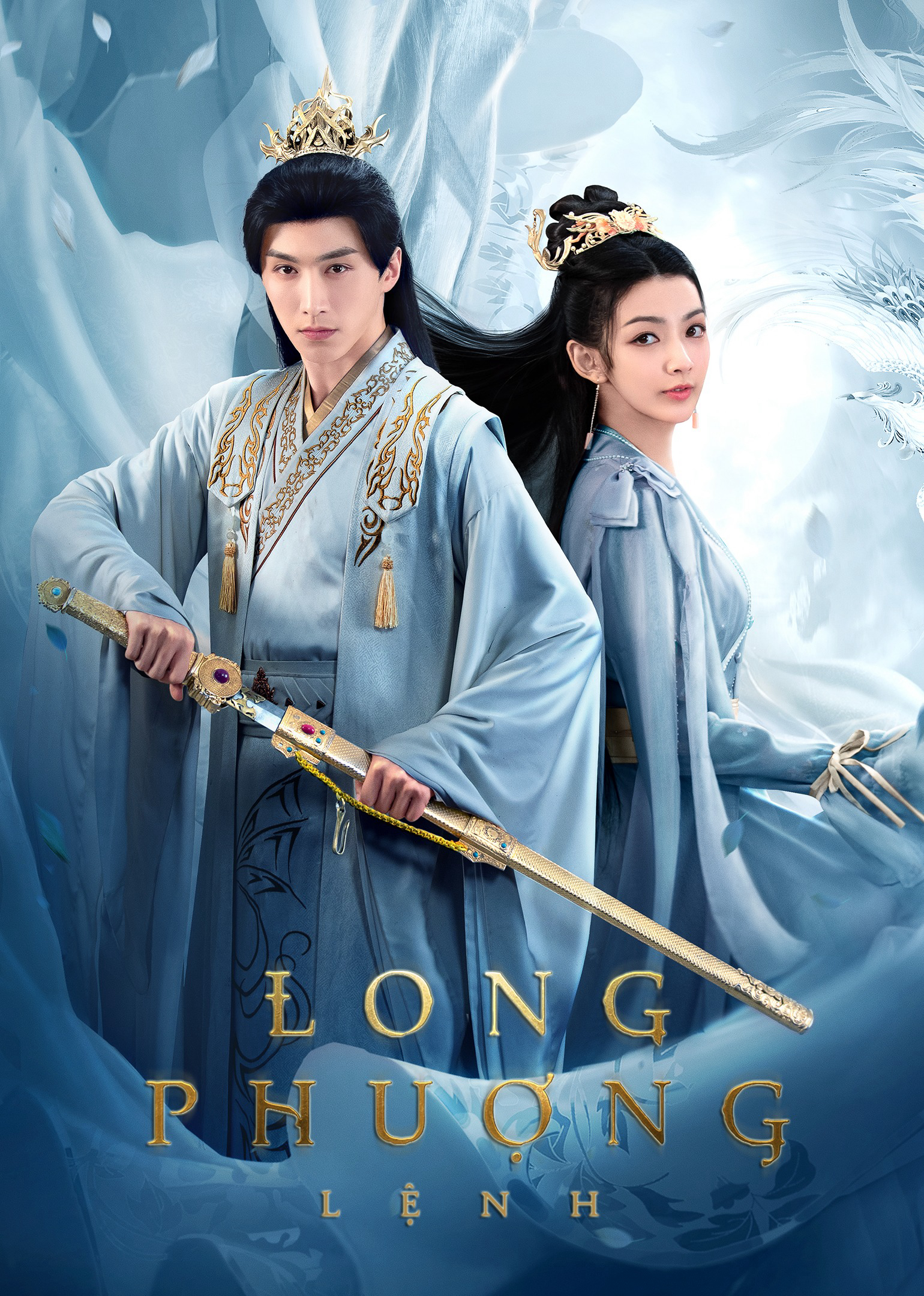 Poster Phim Long Phượng Lệnh (Dragon and Phoenix's Order)