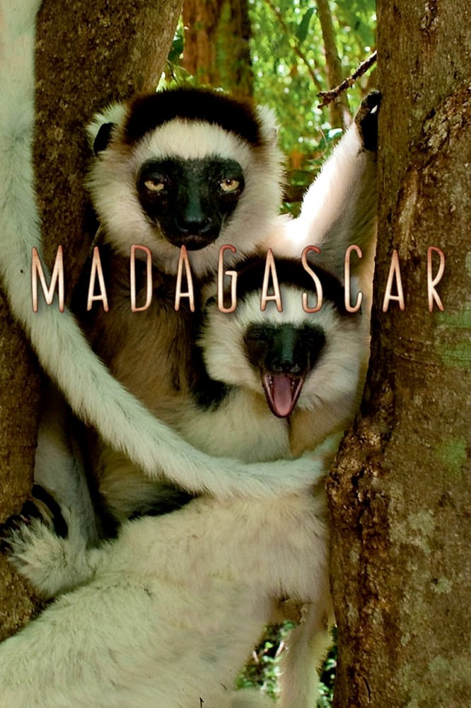 Xem Phim Madagascar 2011 (Madagascar)