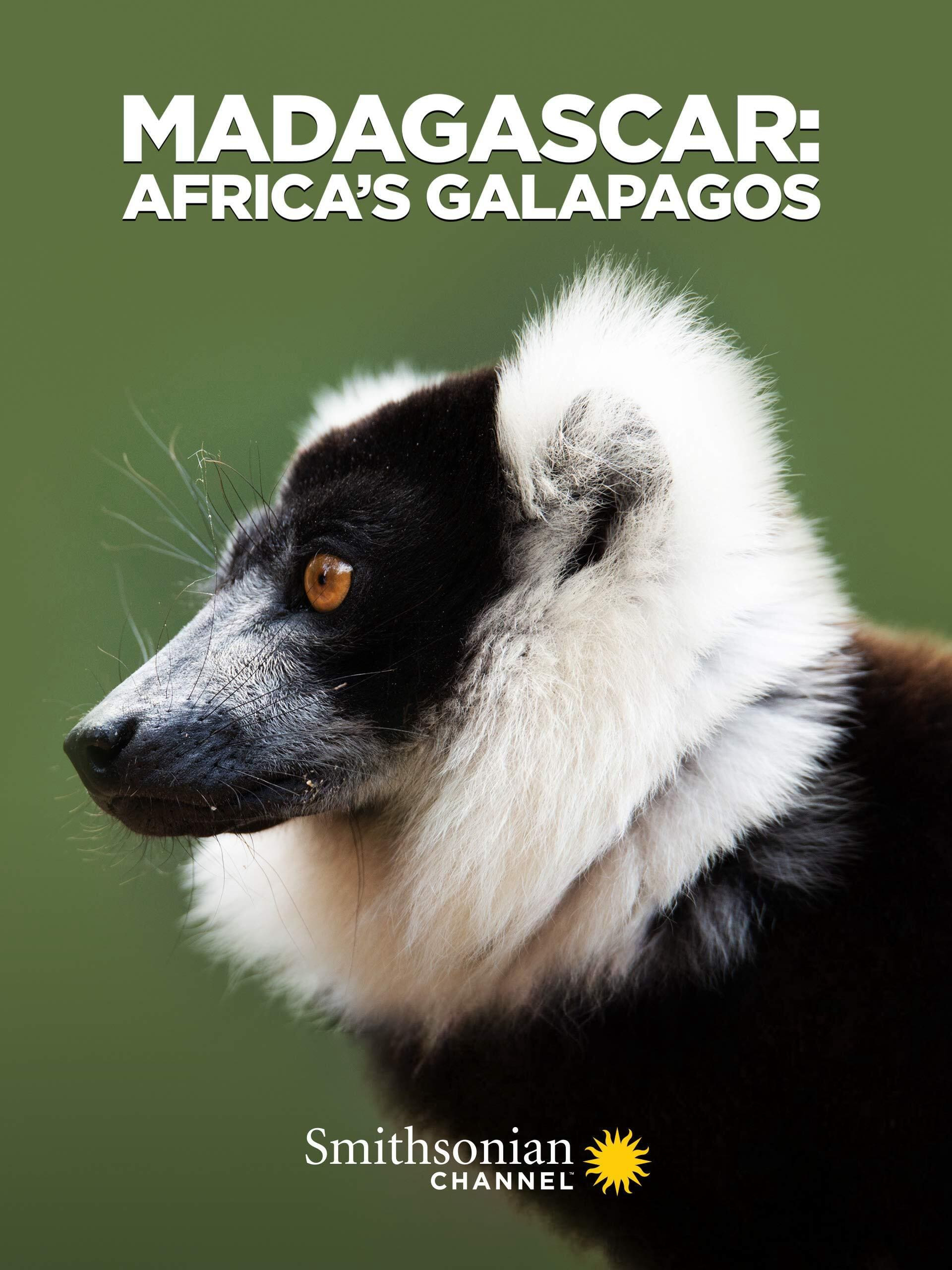Poster Phim Madagascar: Africa's Galapagos (Madagascar: Africa's Galapagos)