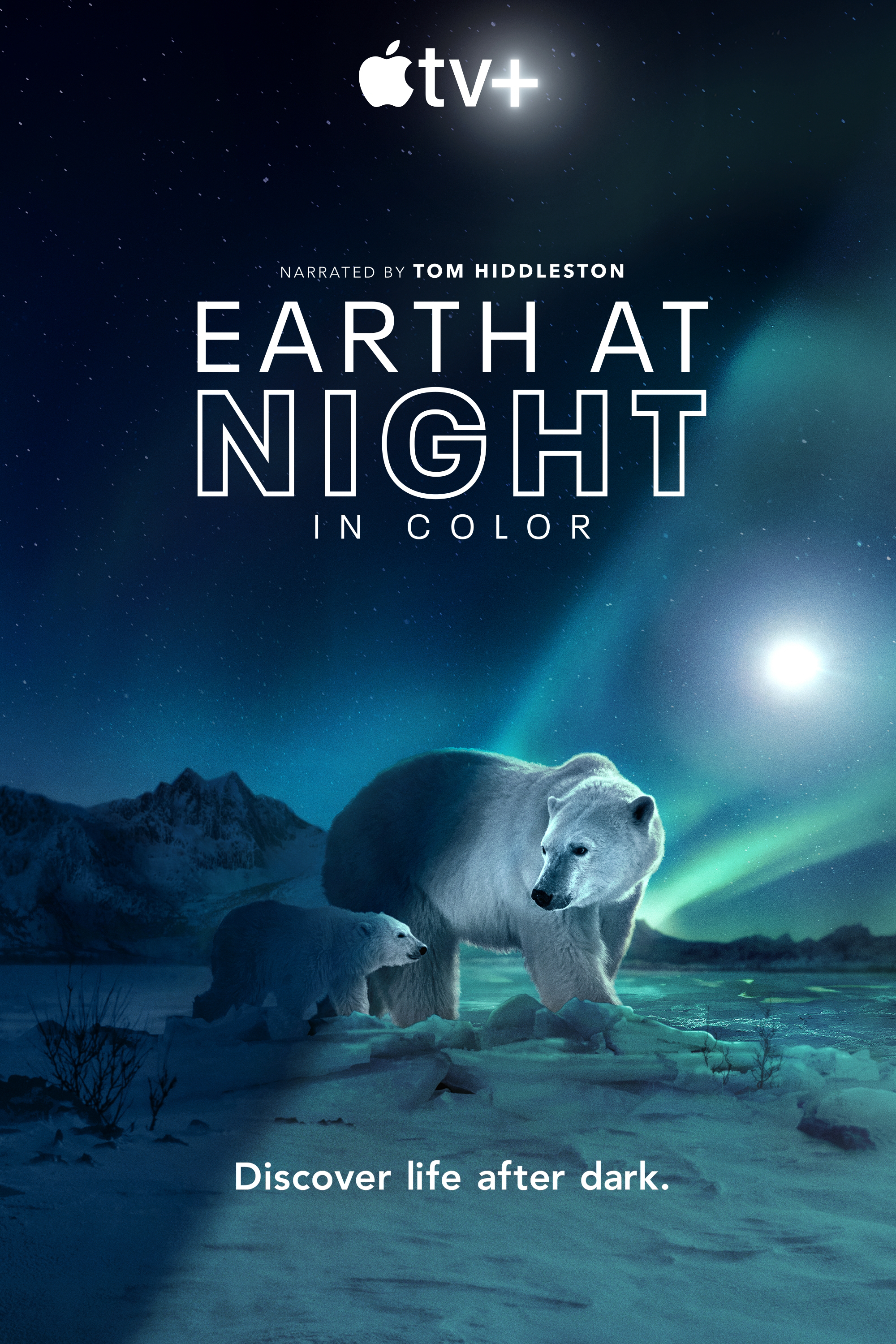 Xem Phim Màn đêm trên Trái Đất: Thước phim trong bóng tối (Night on Earth: Shot in the Dark)