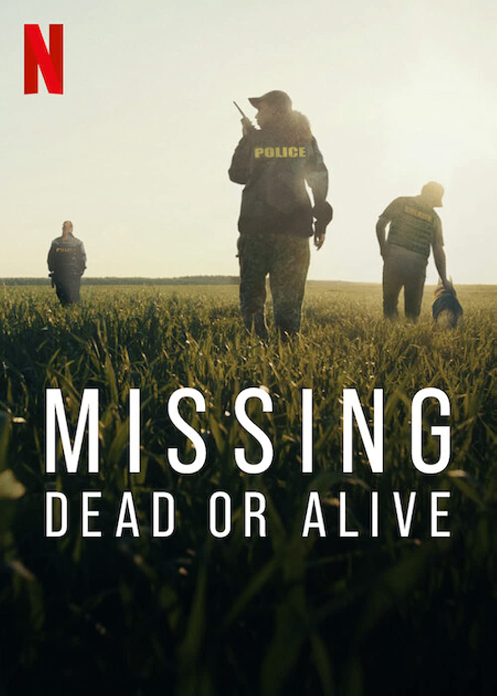 Poster Phim Mất tích: Đã chết hay còn sống ? (Missing: Dead or Alive ?)