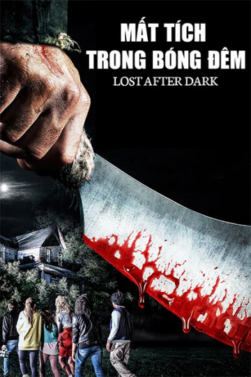 Poster Phim Mất Tích Trong Bóng Đêm (Lost After Dark)