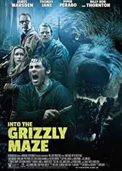 Poster Phim Mê Cung Gấu Xám (Into the Grizzly Maze)
