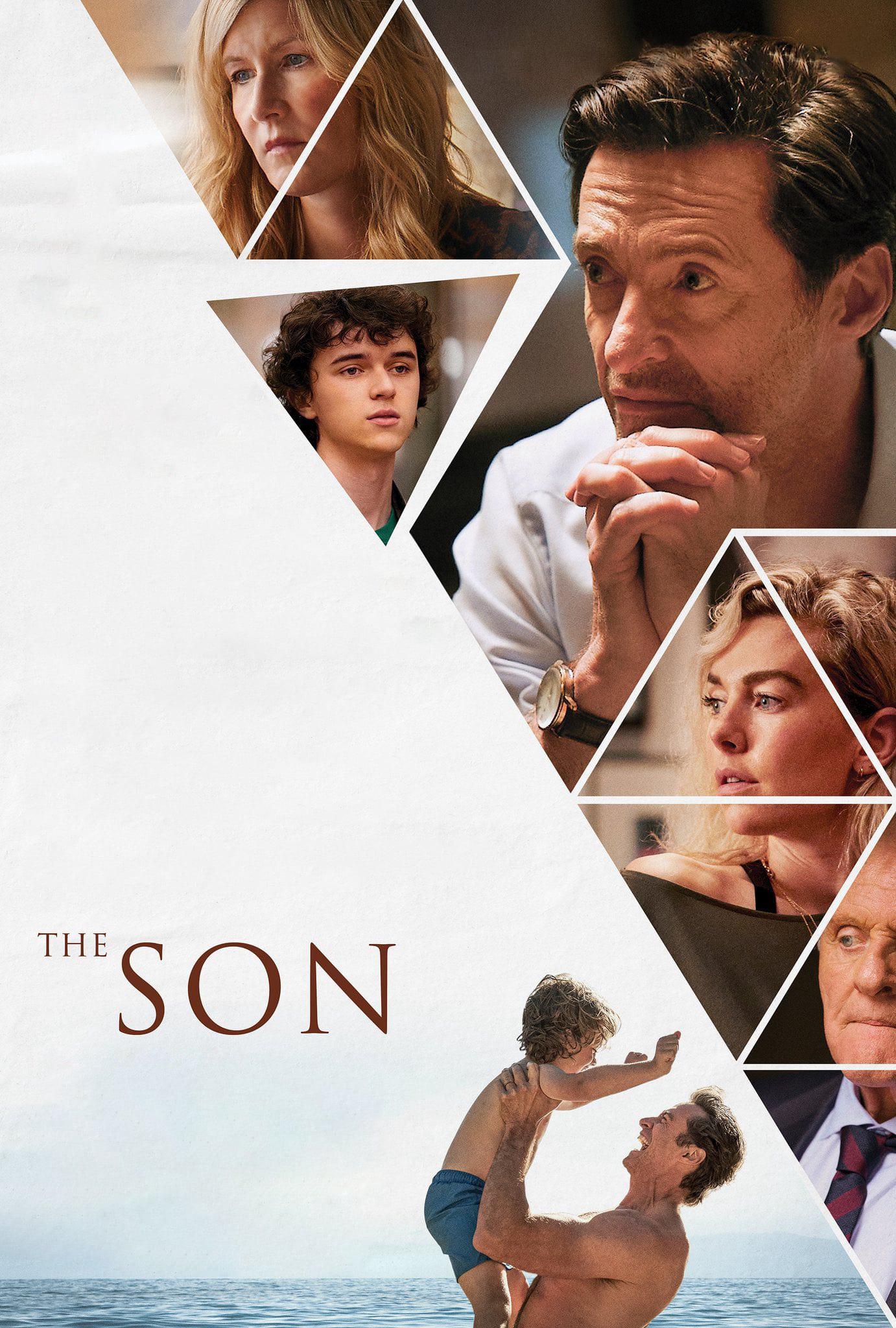 Poster Phim Người Con Trai (The Son)