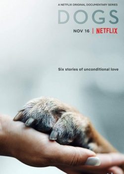 Xem Phim Những Chú Chó Phần 1 (Dogs)