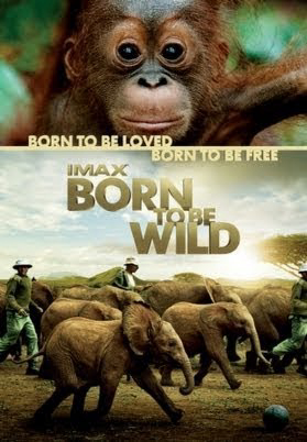 Xem Phim Những Loài Vật Mồ Côi (Born to Be Wild)