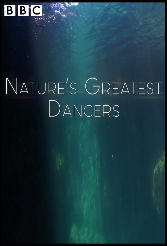 Xem Phim Những Vũ Công Cừ Khôi Của Tự Nhiên (Nature's Greatest Dancers)