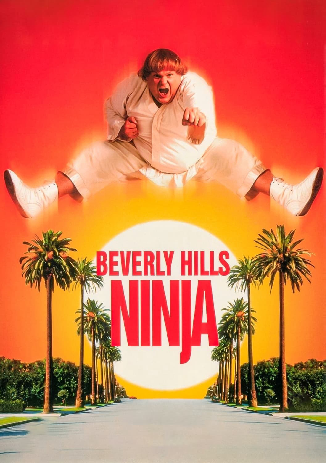 Xem Phim Ninja Béo Ù (Beverly Hills Ninja)