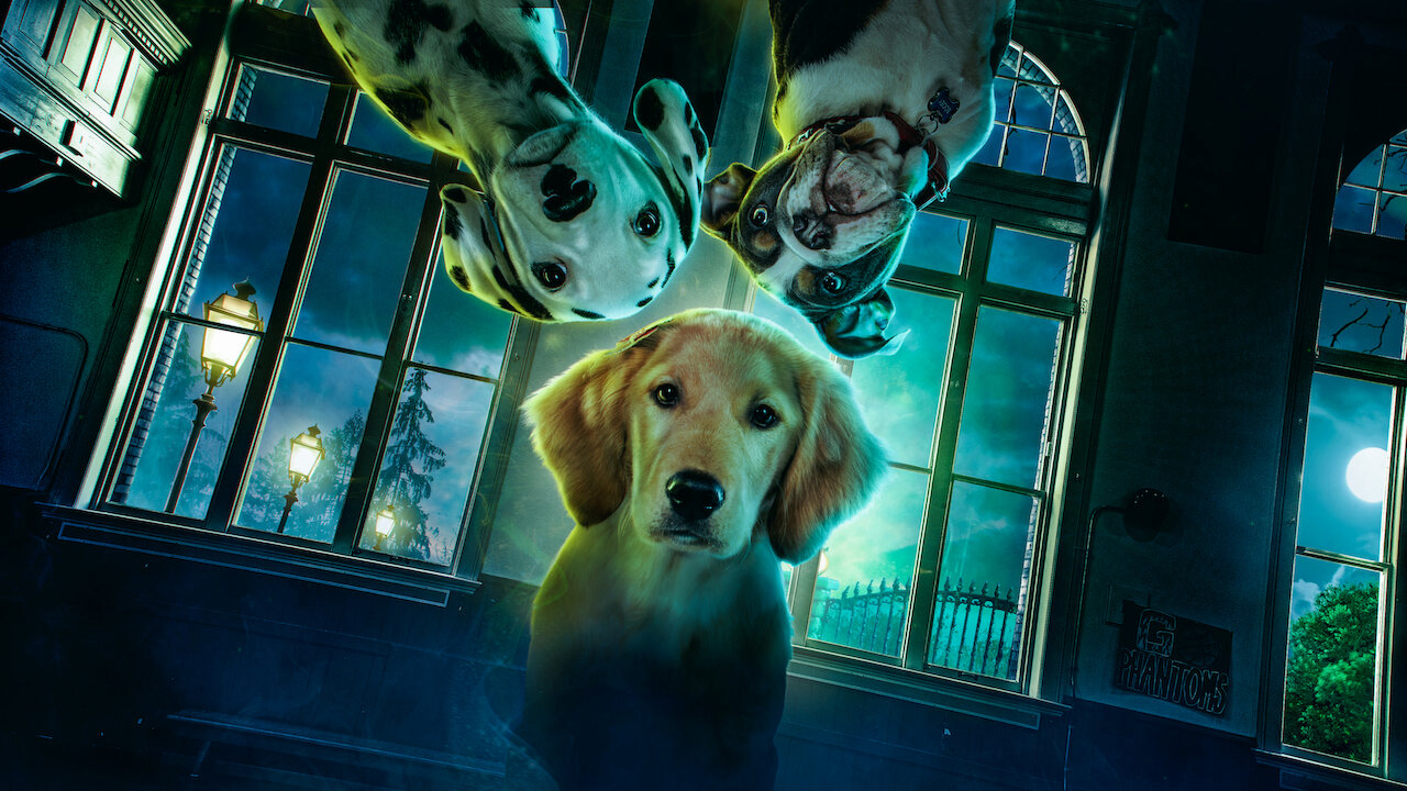Xem Phim Phantom Pups Phần 1 (Phantom Pups Season 1)