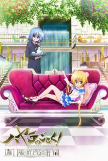 Xem Phim Hayate No Gotoku! I Can’t Take My Eyes Off You! (Hayate the Combat Butler! Can't Take My Eyes Off You)