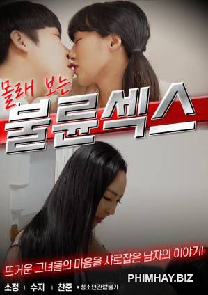 Poster Phim Bí Mật Của Tình Dục (Secretly Affair Sex)