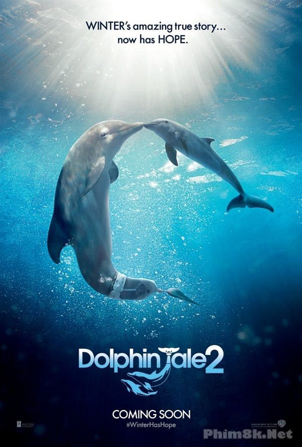 Xem Phim Câu Chuyện Cá Heo 2 (The Dolphin Tale 2)