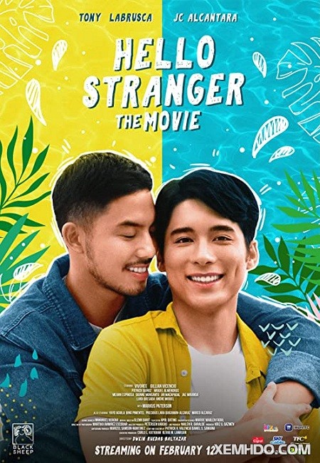 Poster Phim Chào Người Lạ (Hello Stranger: The Movie)