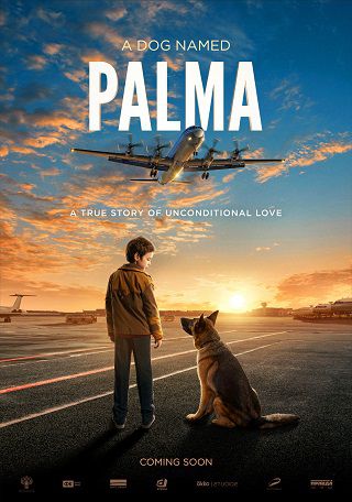 Xem Phim Chú Chó Palma (A Dog Named Palma)