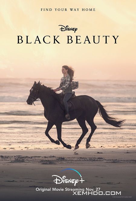 Xem Phim Chú Ngựa Đen Beauty (Black Beauty)
