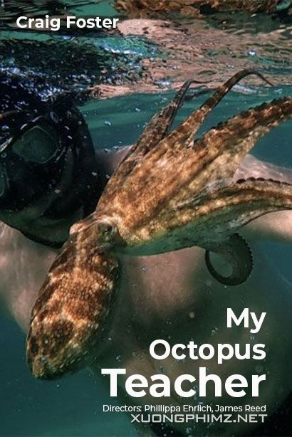 Xem Phim Cô Giáo Bạch Tuộc (My Octopus Teacher)