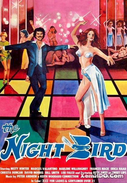 Poster Phim Cú Đêm (The Night Bird)