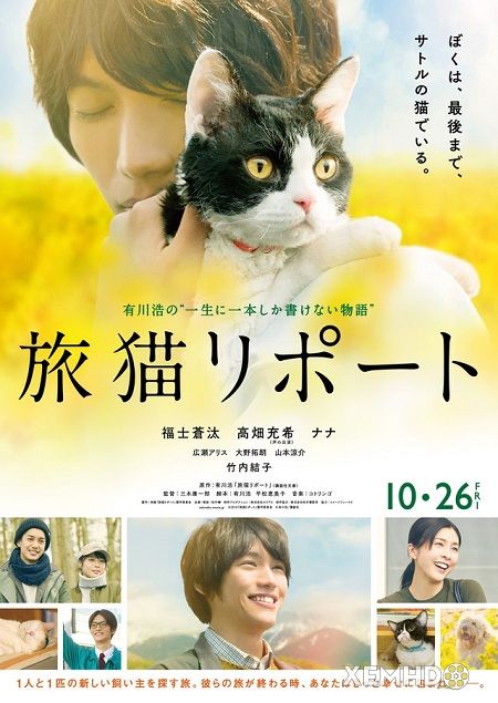 Xem Phim Cuộc Hành Trình Của Mèo Nana (Tabineko Ripôto / The Travelling Cat Chronicles)