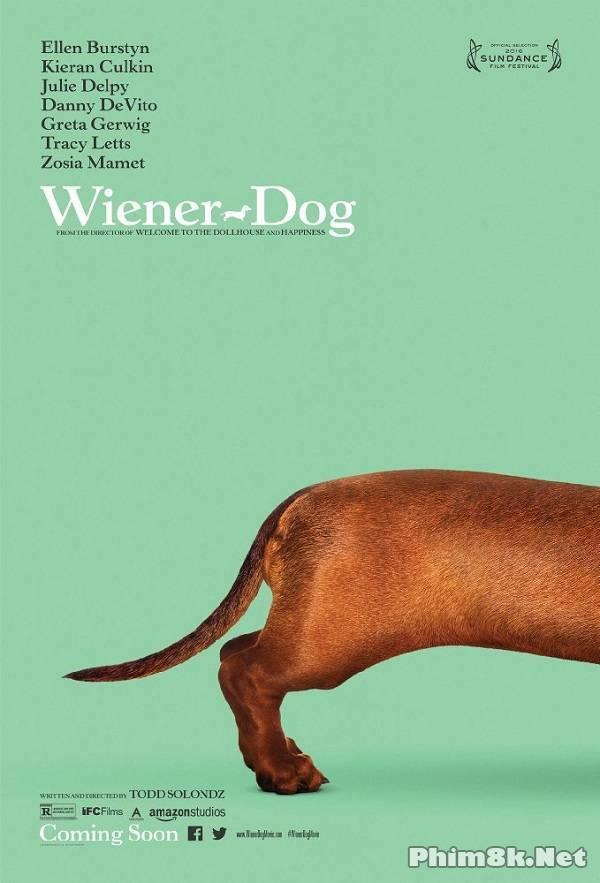 Xem Phim Giải Đua Chó Thể Giới (Wiener-dog)