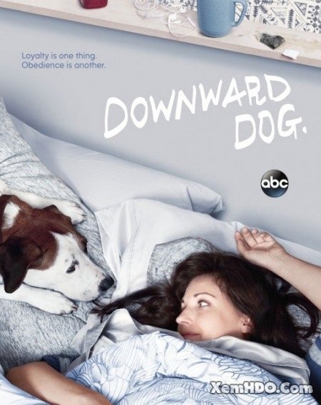 Xem Phim Góc Nhìn Của Chó (phần 1) (Downward Dog (season 1))