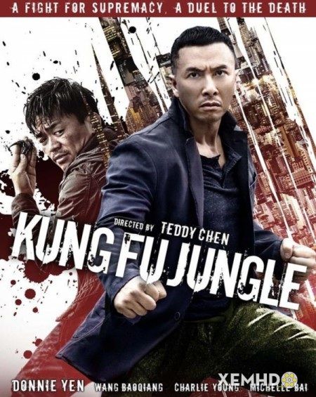 Poster Phim Kế Hoạch Bí Ẩn (sát Quyền) (Kung Fu Jungle)
