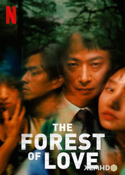 Xem Phim Khu Rừng Tình Yêu (The Forest Of Love)