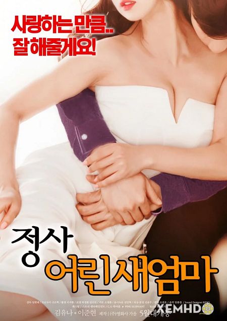 Poster Phim Một Câu Chuyện, Mẹ Kế Trẻ (An Affair Young Stepmother)