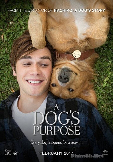 Xem Phim Mục Đích Sống Của Một Chú Chó (A Dog Purpose)