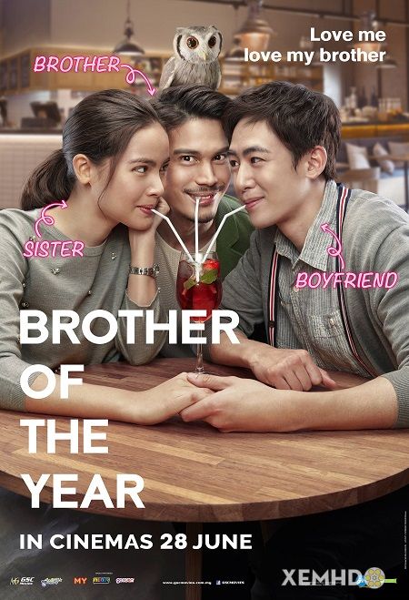 Xem Phim Ông Anh Trời Đánh (Brother Of The Year)