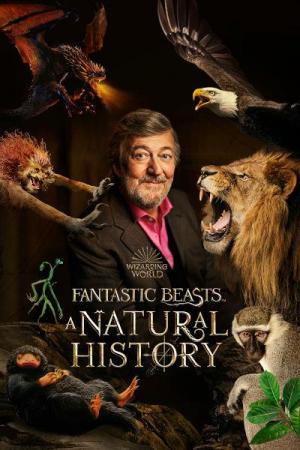 Xem Phim Sinh Vật Huyền Bí Lịch Sử Tự Nhiên (Fantastic Beasts A Natural History)