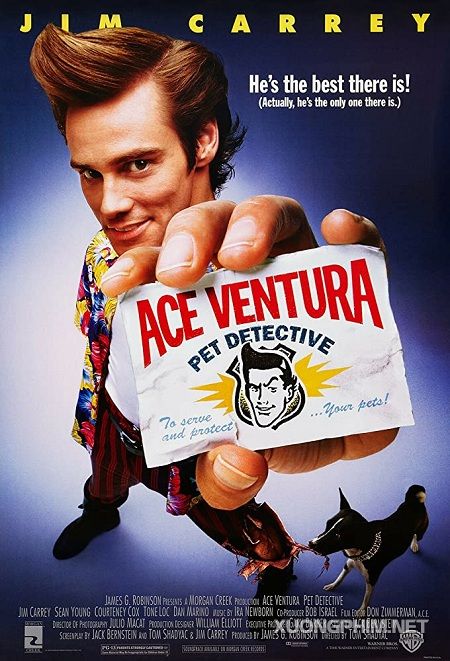 Poster Phim Thám Tử Thú Cưng (Ace Ventura: Pet Detective)