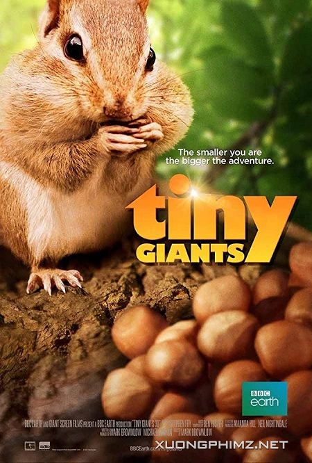 Xem Phim Thiên Nhiên Kì Thú (Tiny Giants 3d)