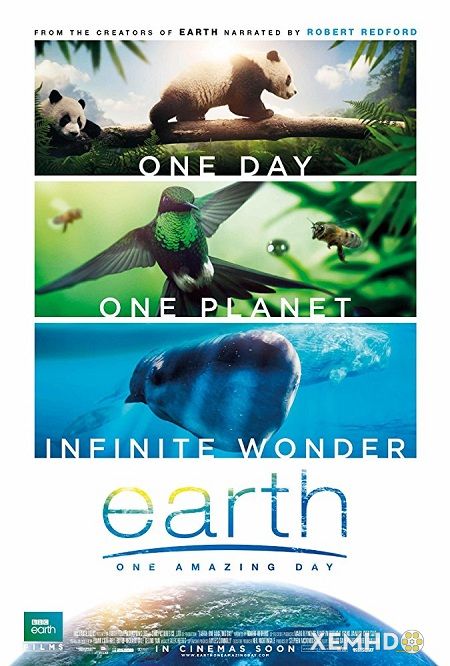 Xem Phim Trái Đất: Một Ngày Tuyệt Vời (Earth: One Amazing Day)